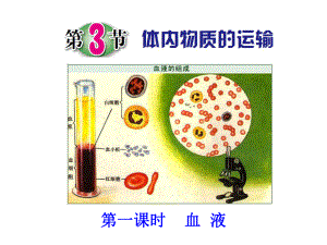 浙教版九年级上册科学第3节-体内物质的运输课件.ppt