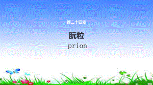 朊粒第九版医学本科教材课件.pptx