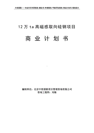 12万ta高磁感取向硅钢项目商业计划书写作模板-融资招商.doc