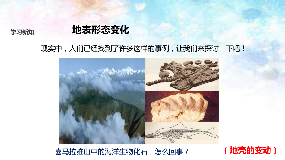 湘教版七年级地理上册24《海陆变迁》课件.pptx_第3页