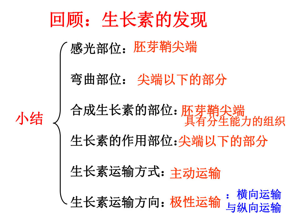 回顾生长素的发现课件.ppt_第1页