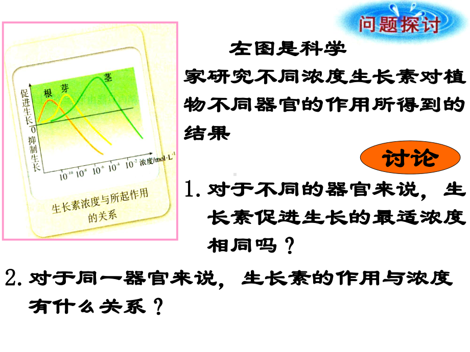 回顾生长素的发现课件.ppt_第3页