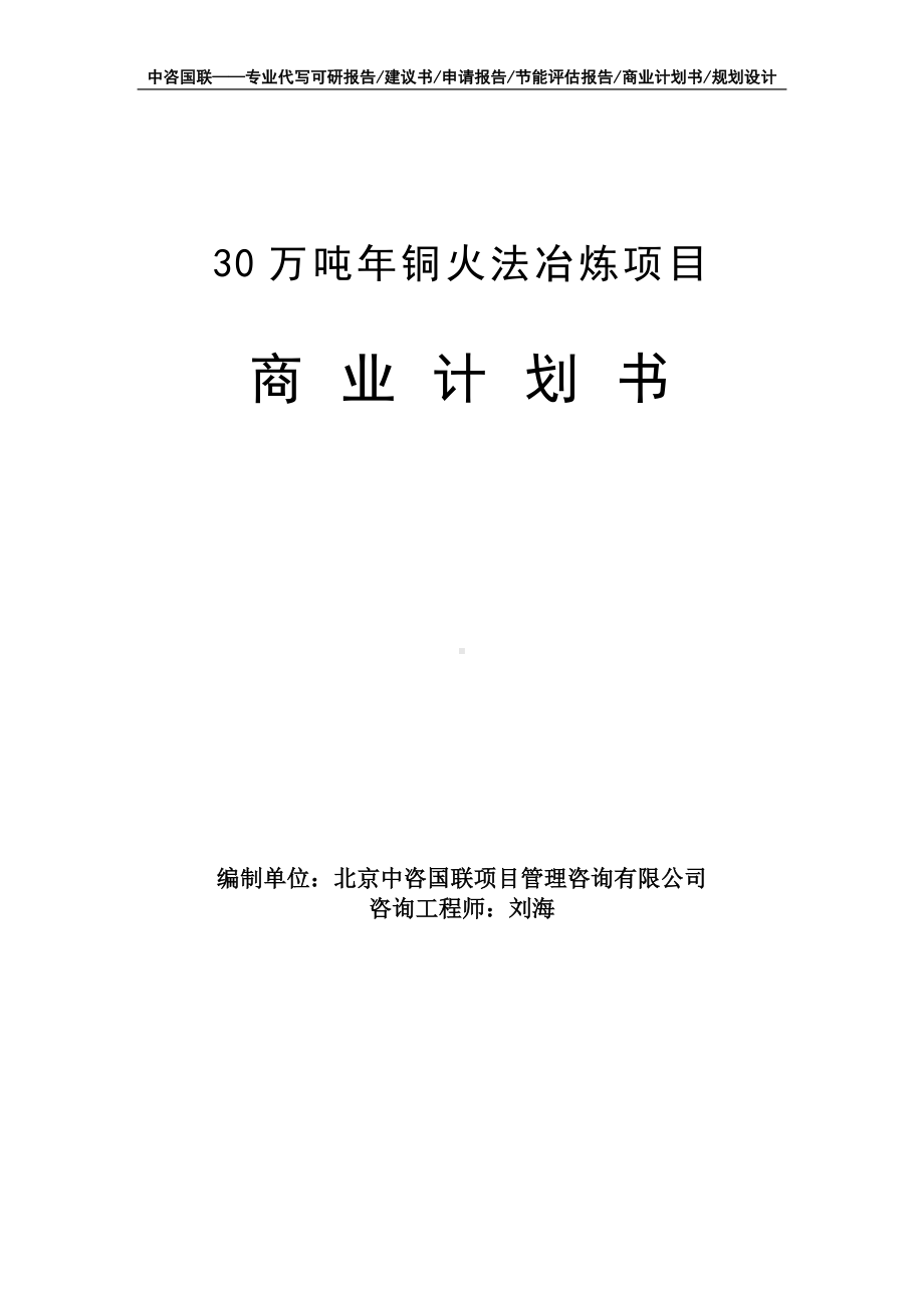 30万吨年铜火法冶炼项目商业计划书写作模板-融资招商.doc_第1页