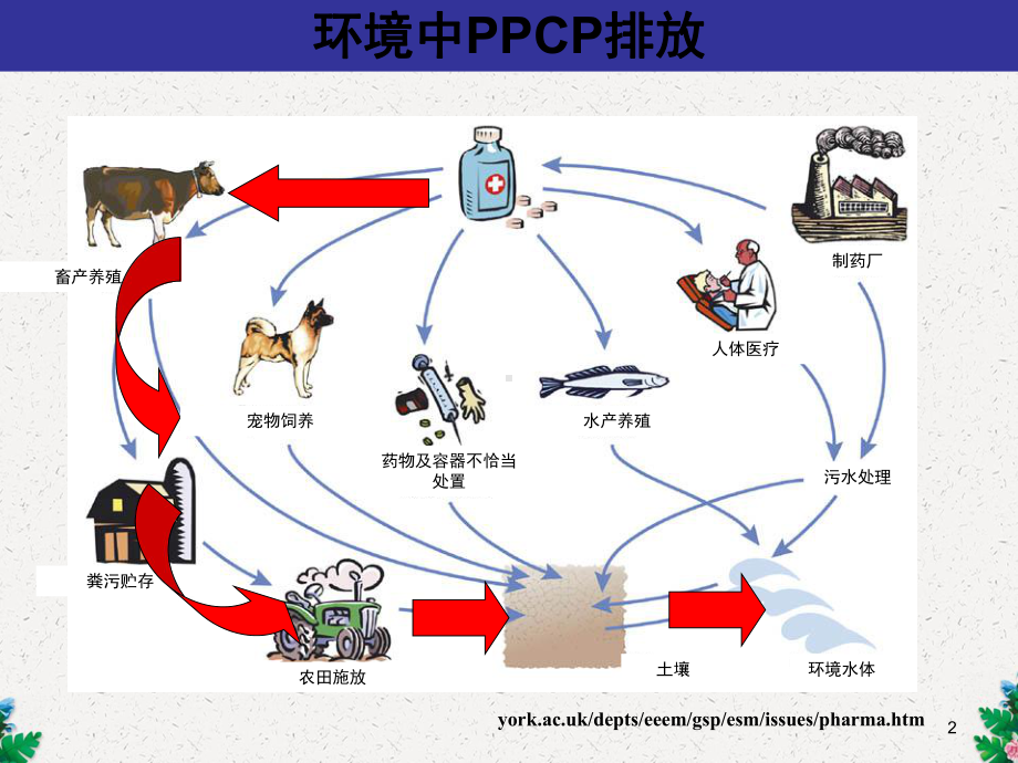 抗生素-环境中药物与个人护理品监测技术课件.ppt_第2页