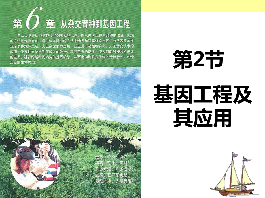 基因工程及其应用(公开课最新版本课件.ppt_第1页