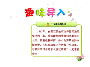 最后一头战象课件最新人教版.ppt