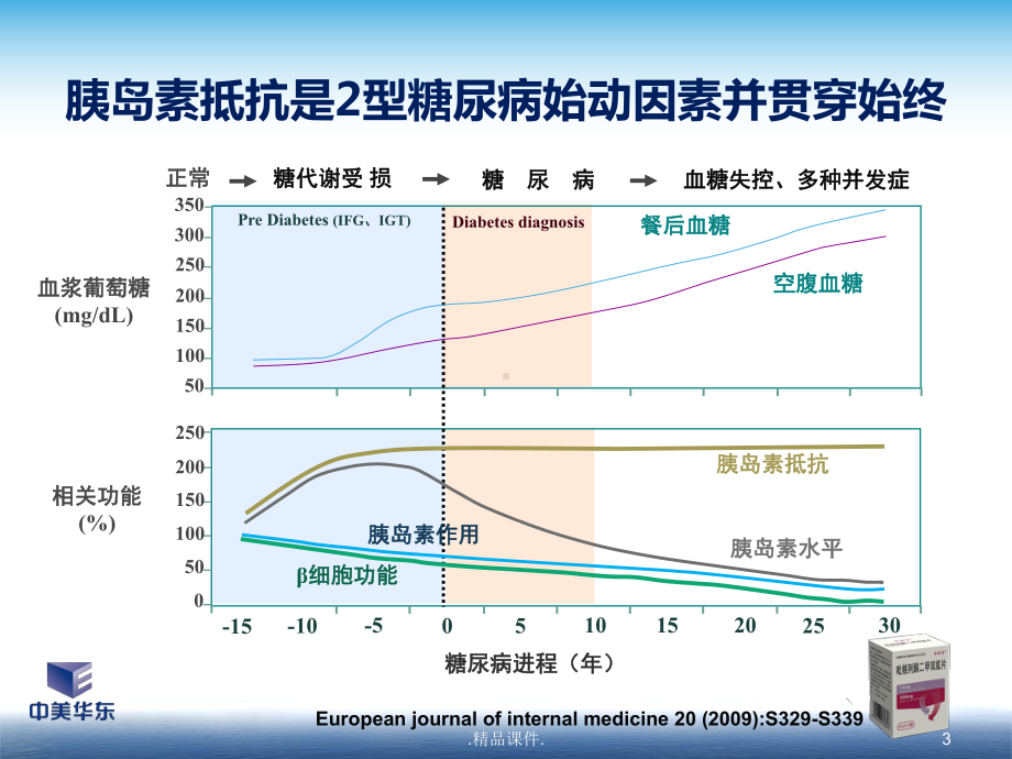 吡格列酮联合二甲双胍治疗2型糖尿病的循证证据定稿课件.pptx_第3页