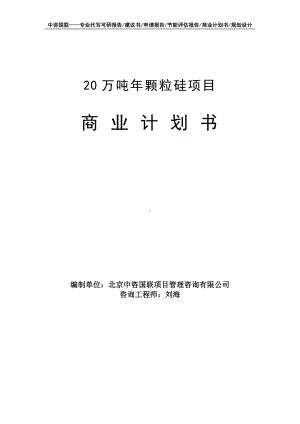 20万吨年颗粒硅项目商业计划书写作模板-融资招商.doc