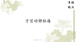 子宫动静脉瘘(干货)课件.pptx