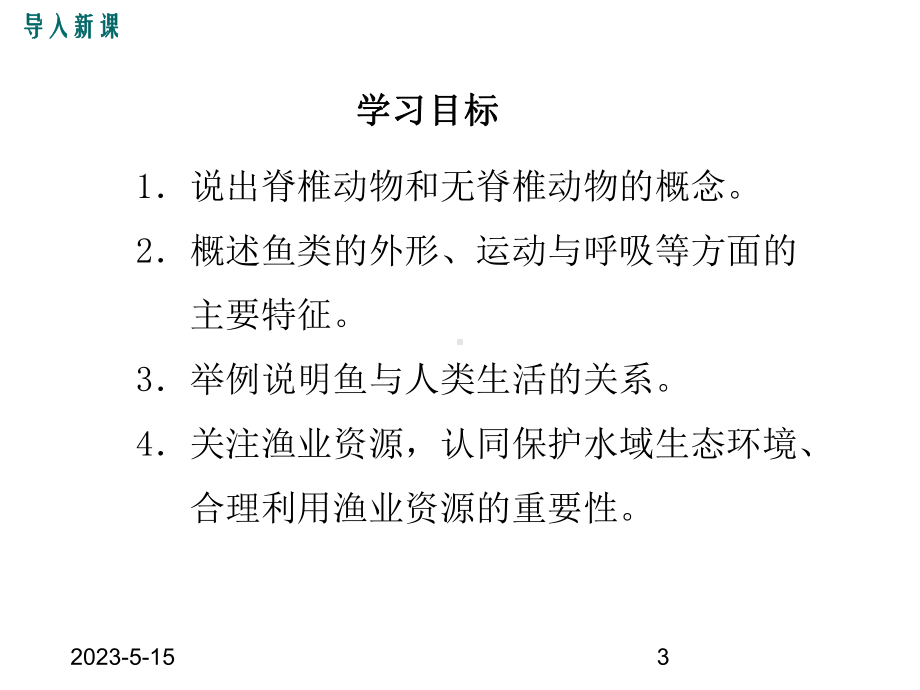 最新人教版八年级上册生物课件4第四节-鱼（备份）.ppt_第3页