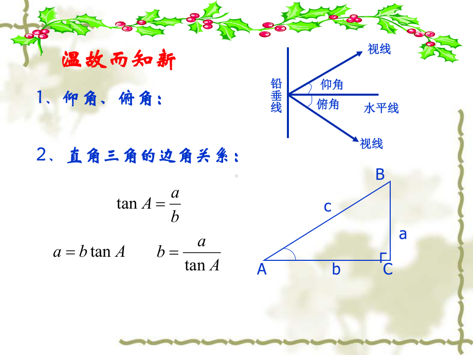 北师大版数学九年级下册16《利用三角函数测高》课件.ppt_第2页