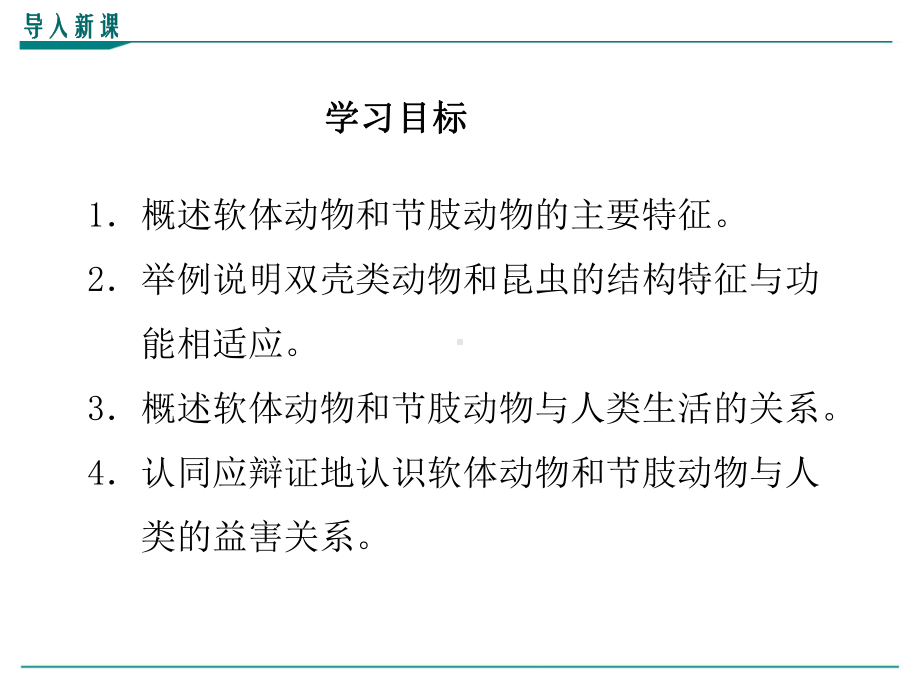 最新人教版八年级上册生物学《软体动物和节肢动物》优秀课件.ppt_第3页