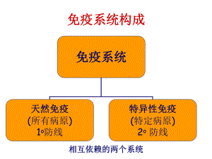 医学免疫学：免疫系统构成课件.ppt