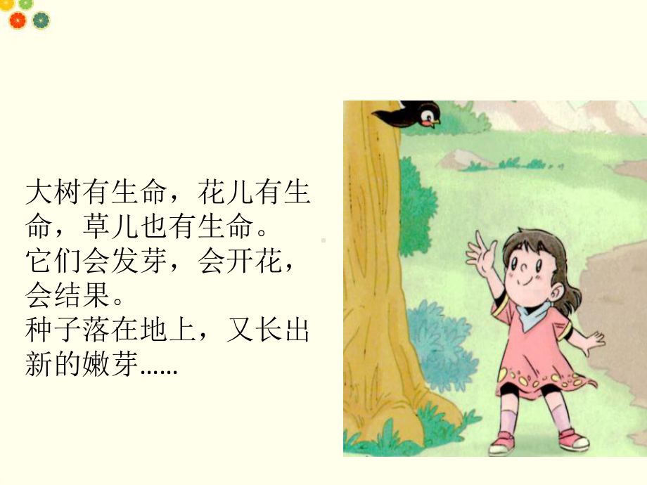 最新人教版道德与法治一年级下册《花儿草儿真美丽》公开课课件.ppt_第3页