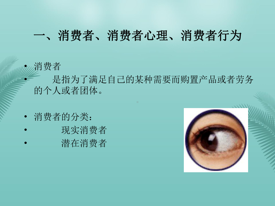 消费者心理与行为最全资料课件.ppt_第2页