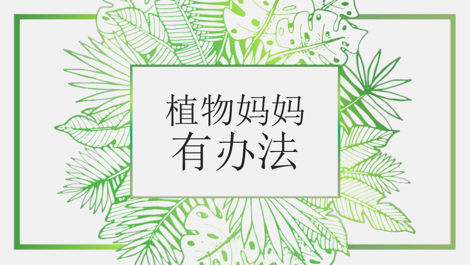 植物妈妈有办法公开课课件模板.pptx_第1页