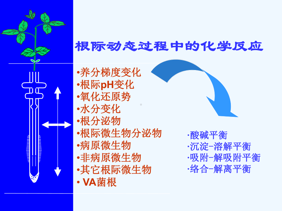 土壤与植物营养课件.pptx_第3页