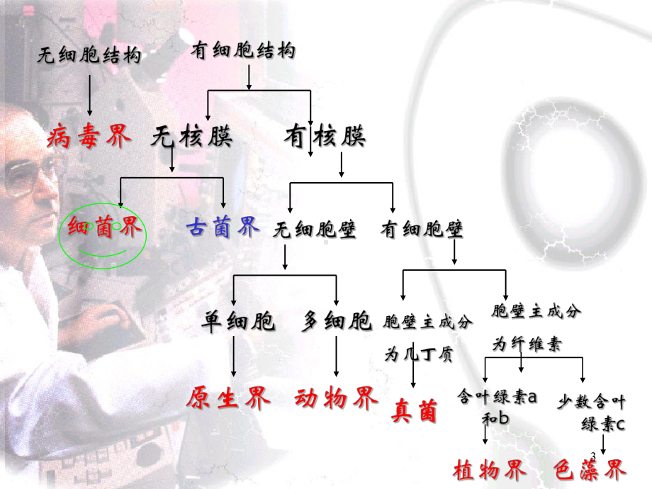 植物病原物：细菌课件.ppt_第3页