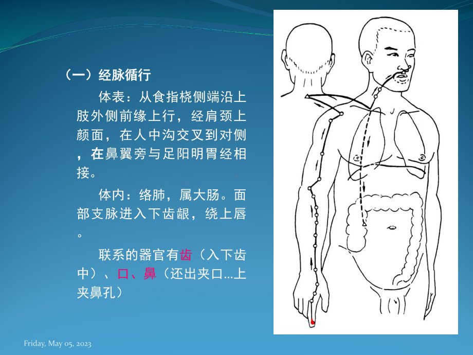 医学针灸课件大肠经.pptx_第2页