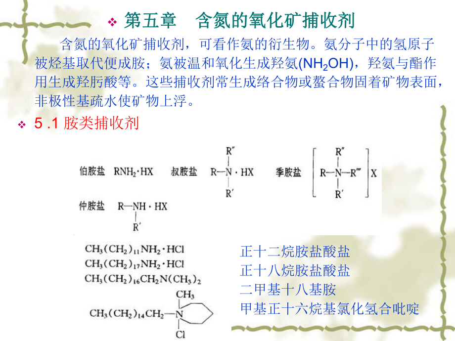 浮选药剂化学原理与应用-第五章-含氮的氧化矿捕收剂课件.ppt_第1页