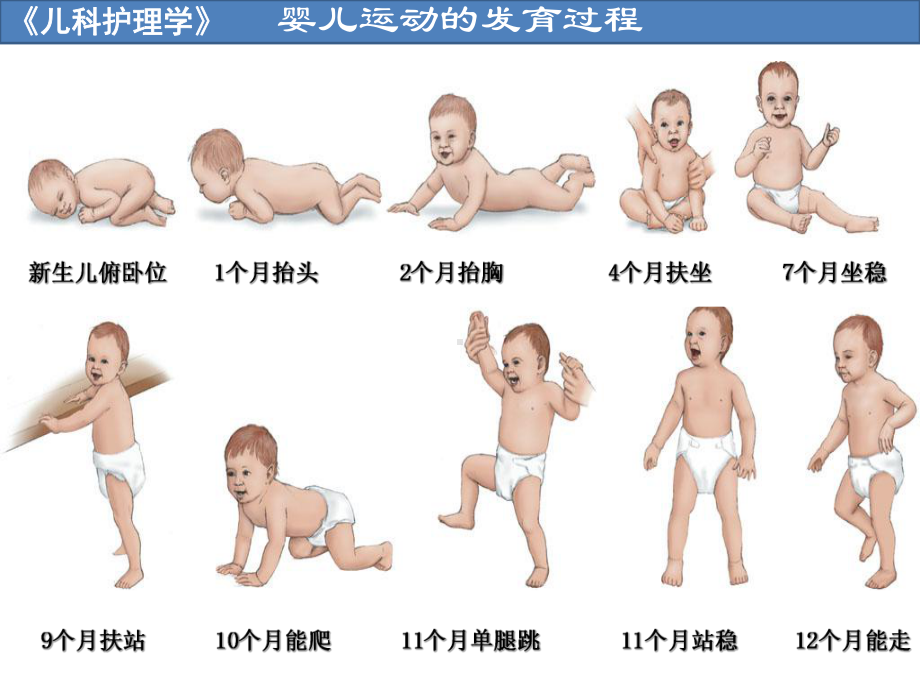 儿科护理学儿童生长发育.pptx_第2页