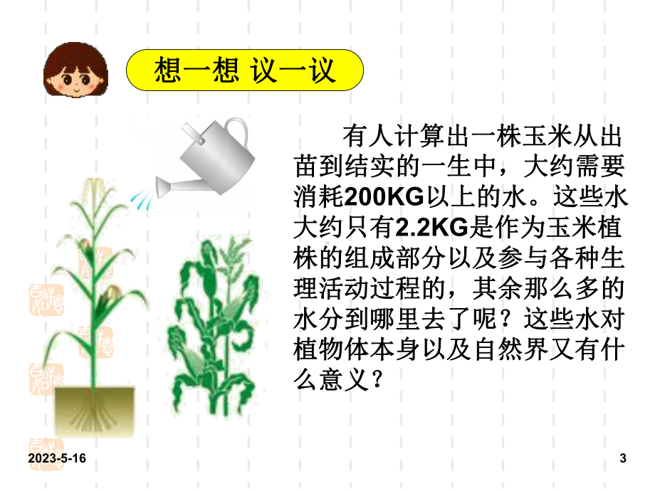 最新人教版七年级上册生物课件：第三章-绿色植物与生物圈的水循环.ppt_第3页