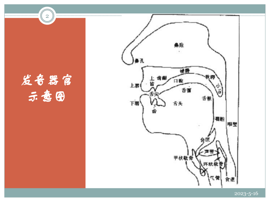 普通话声母发音训练-(课堂)课件.ppt_第2页