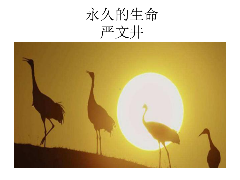 永久的生命（公开课教学课件）.ppt_第3页