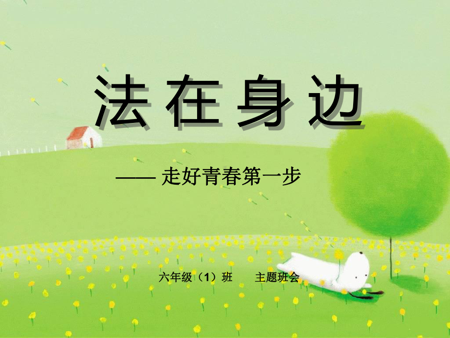 法制教育主题班会(定)课件.ppt_第1页