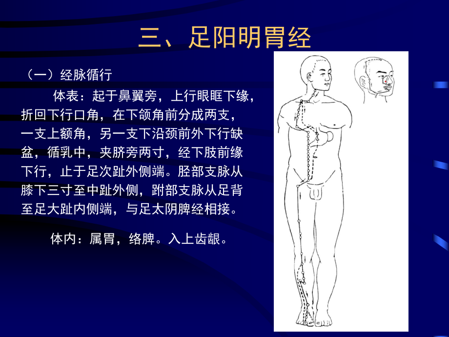 医学针灸课件胃经.pptx_第1页