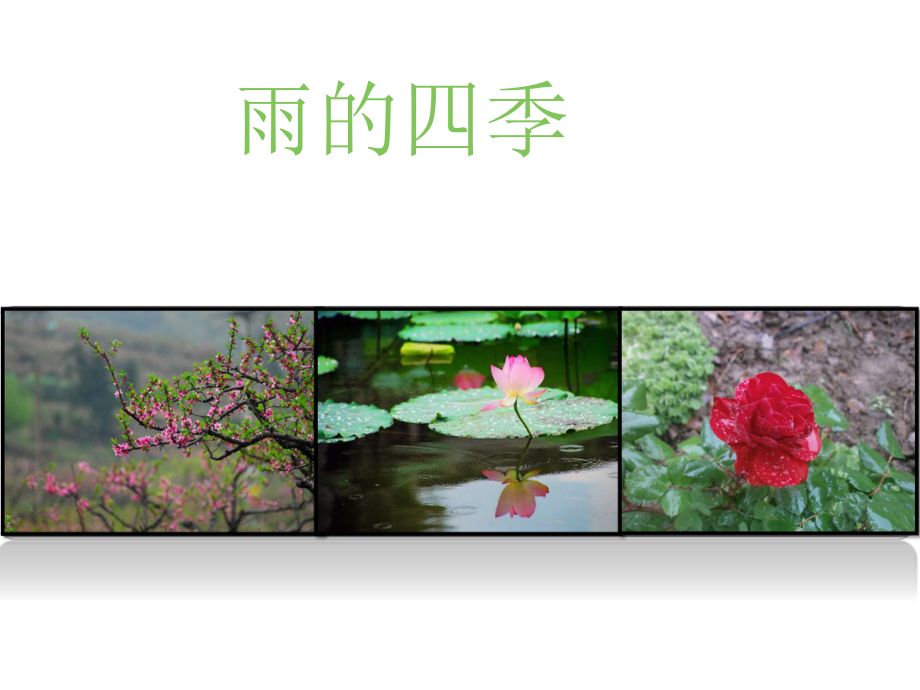 最新部编版七年级上册语文3《雨的四季》课件.ppt_第1页