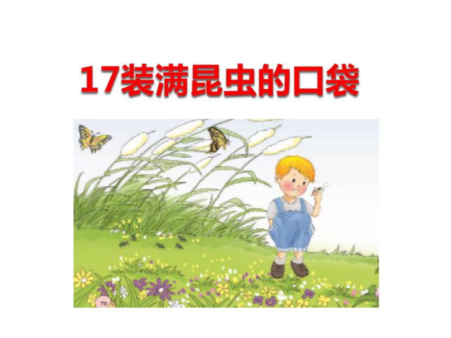 最新西师大版二年级语文下册17装满昆虫的口袋公开课课件.ppt_第1页