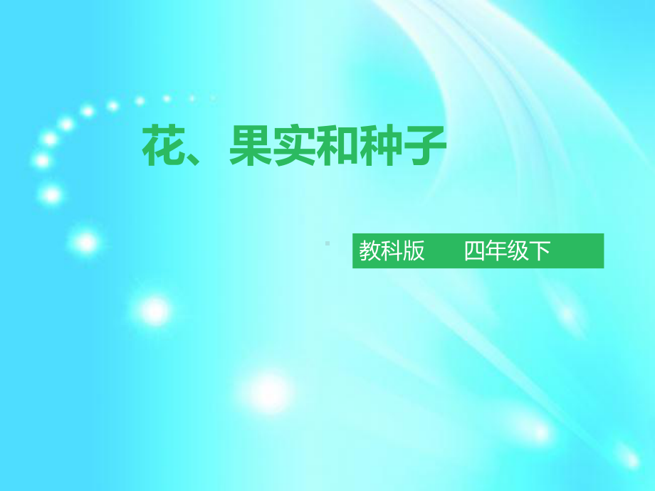 四年级下册科学课件23-花、果实和种子-l--教科版-.ppt_第1页