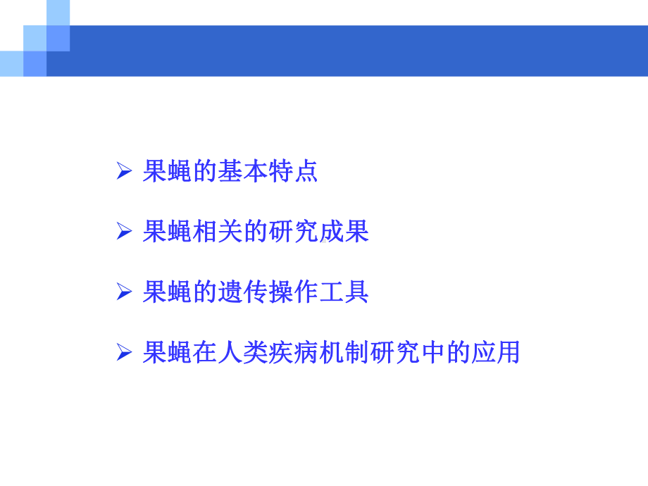 模式生物-果蝇全解课件.ppt_第2页