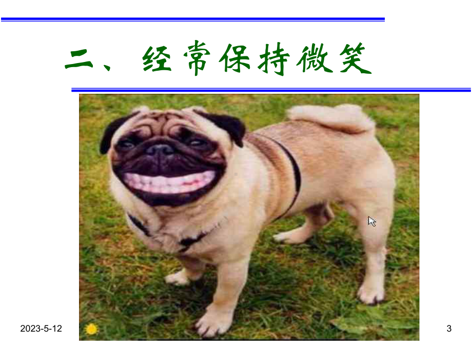 团结合作主题班会课件设计：动物的快乐哲学.ppt_第3页