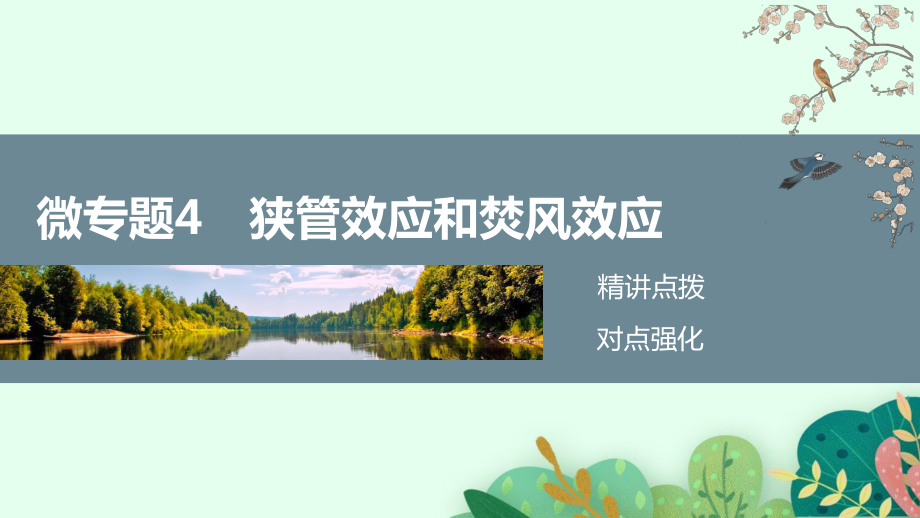 新教材高中地理-二轮复习课件-专题二-微专题4-狭管效应和焚风效应.pptx_第2页