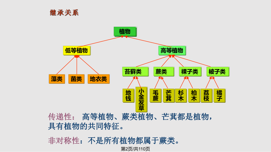 派生类与继承课件.pptx_第2页