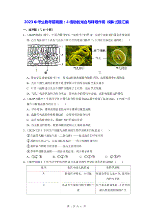 2023中考生物考前刷题：4植物的光合与呼吸作用 模拟试题汇编（含答案解析）.docx