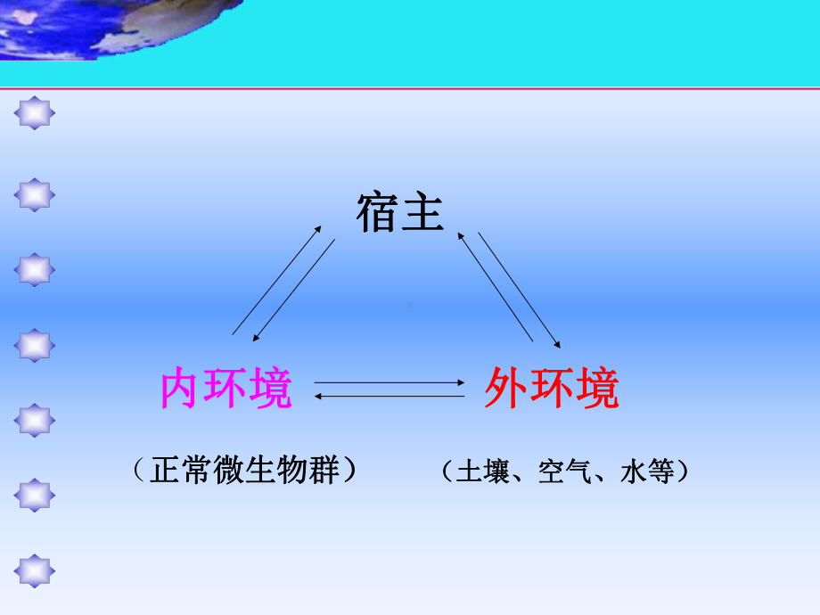 正常微生物群与微生态失调课件.pptx_第1页