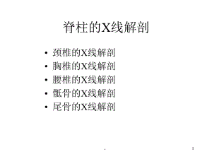 新版脊柱的X线解剖课件.ppt