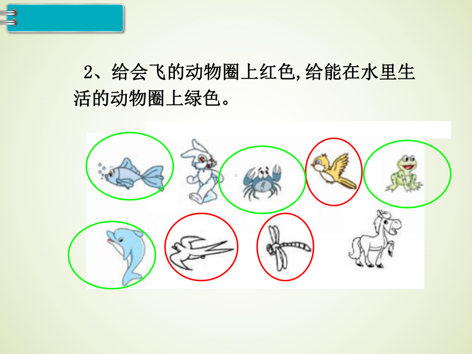 最新人教版一年级数学下册课件：第3单元-分类与整理-第3课时-练习课.pptx_第3页