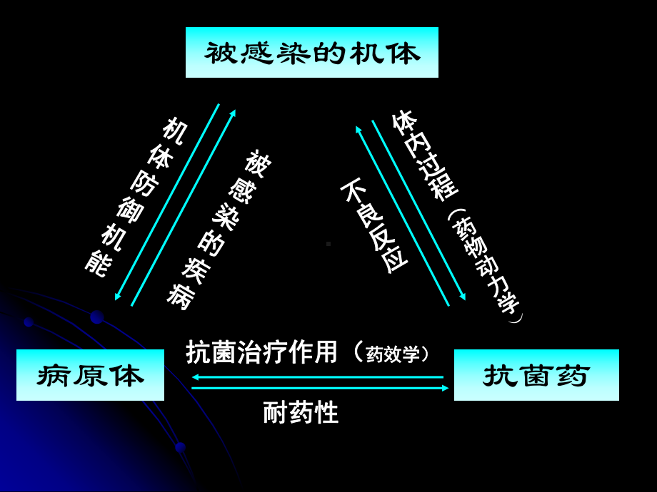 抗生素的应用教学课件.ppt_第3页