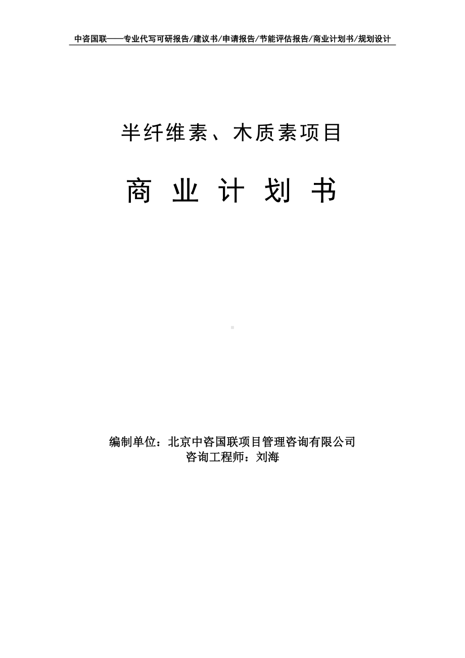 半纤维素、木质素项目商业计划书写作模板-融资招商.doc_第1页