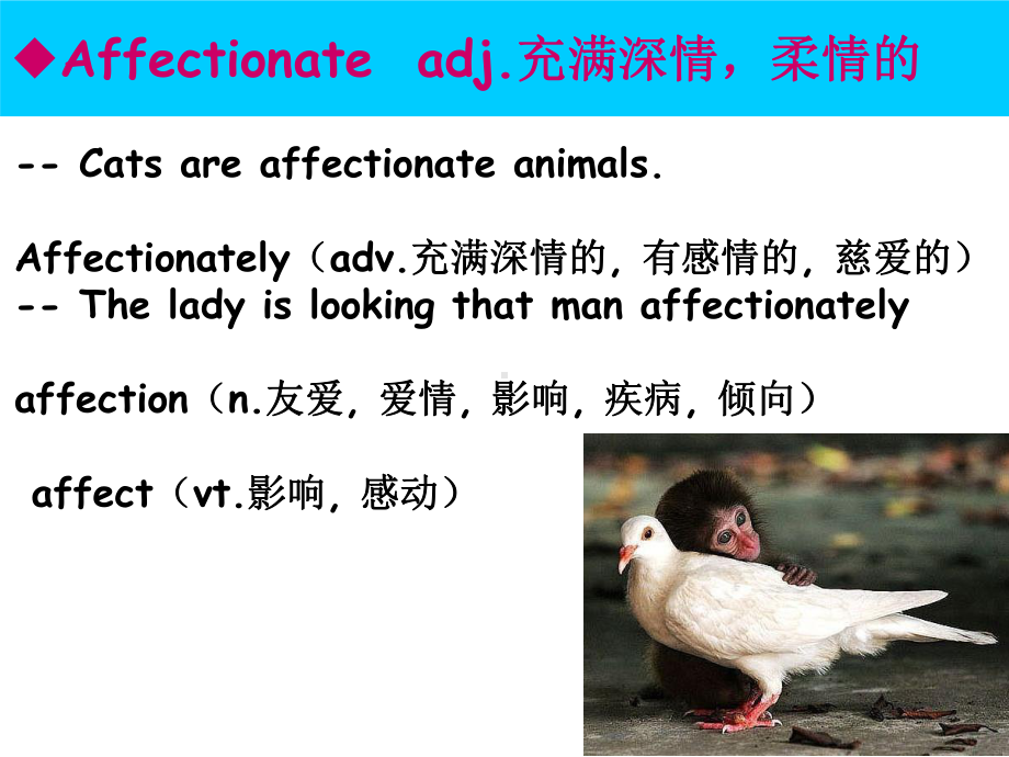 新概念英语第三册lesson-9-课件.ppt_第3页