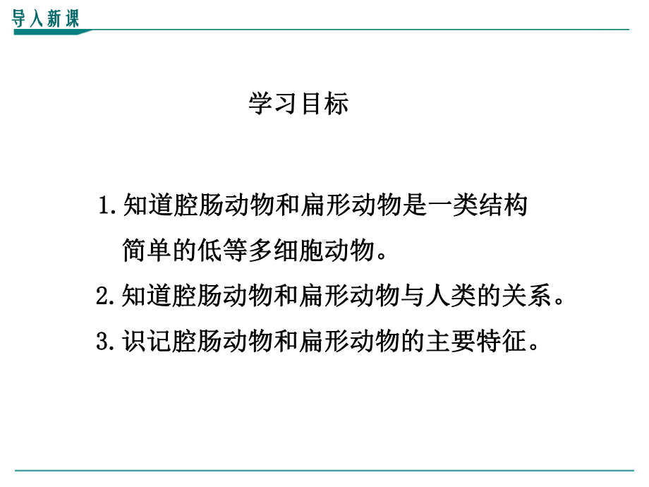 最新人教版八年级上册生物学《腔肠动物和扁形动物》优秀课件.ppt_第3页