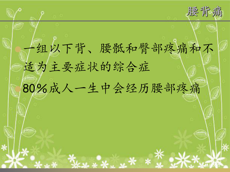 椎旁肌在腰椎退行性疾病中改变的研究课件.pptx_第2页