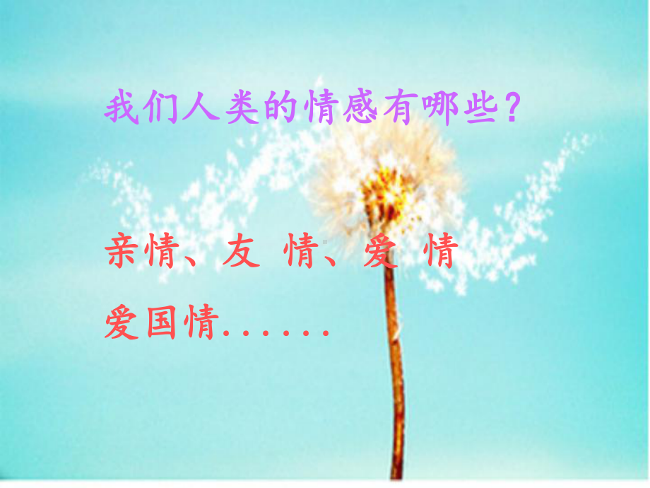 母亲教我的歌(小提琴与钢琴)课件.ppt_第2页