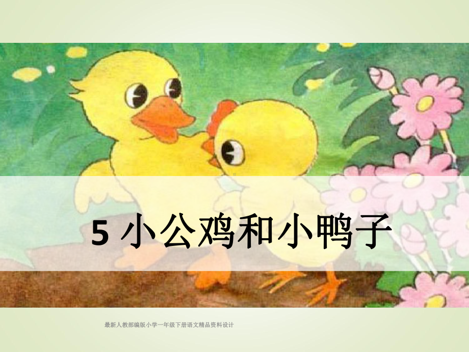 最新人教部编版小学一年级下册语文课件5-小公鸡和小鸭子.ppt_第2页