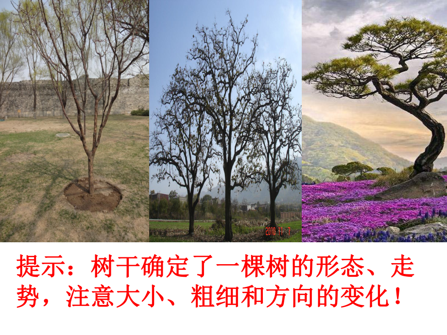 水墨画风景(省一等奖)课件.ppt_第3页