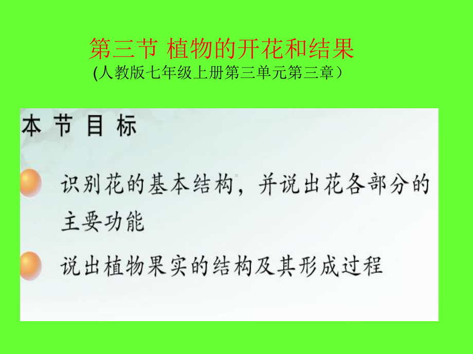 植物的花和果实课件.ppt_第2页